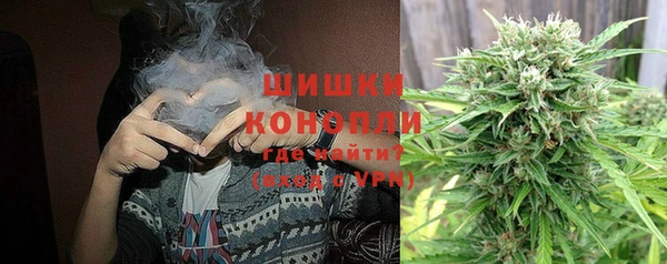 гашик Аркадак