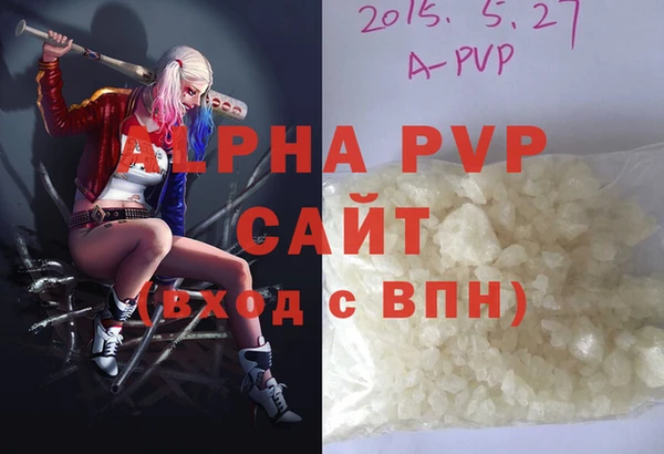 индика Арсеньев