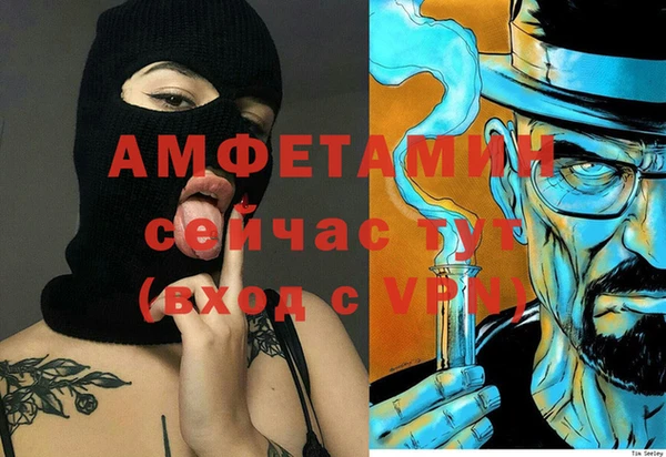 индика Арсеньев