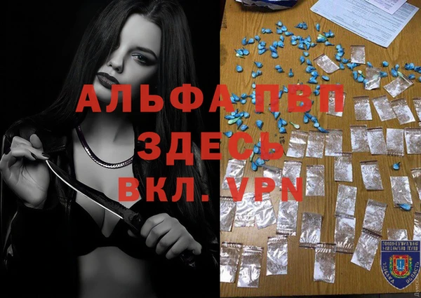 гашик Аркадак