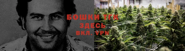гашик Аркадак